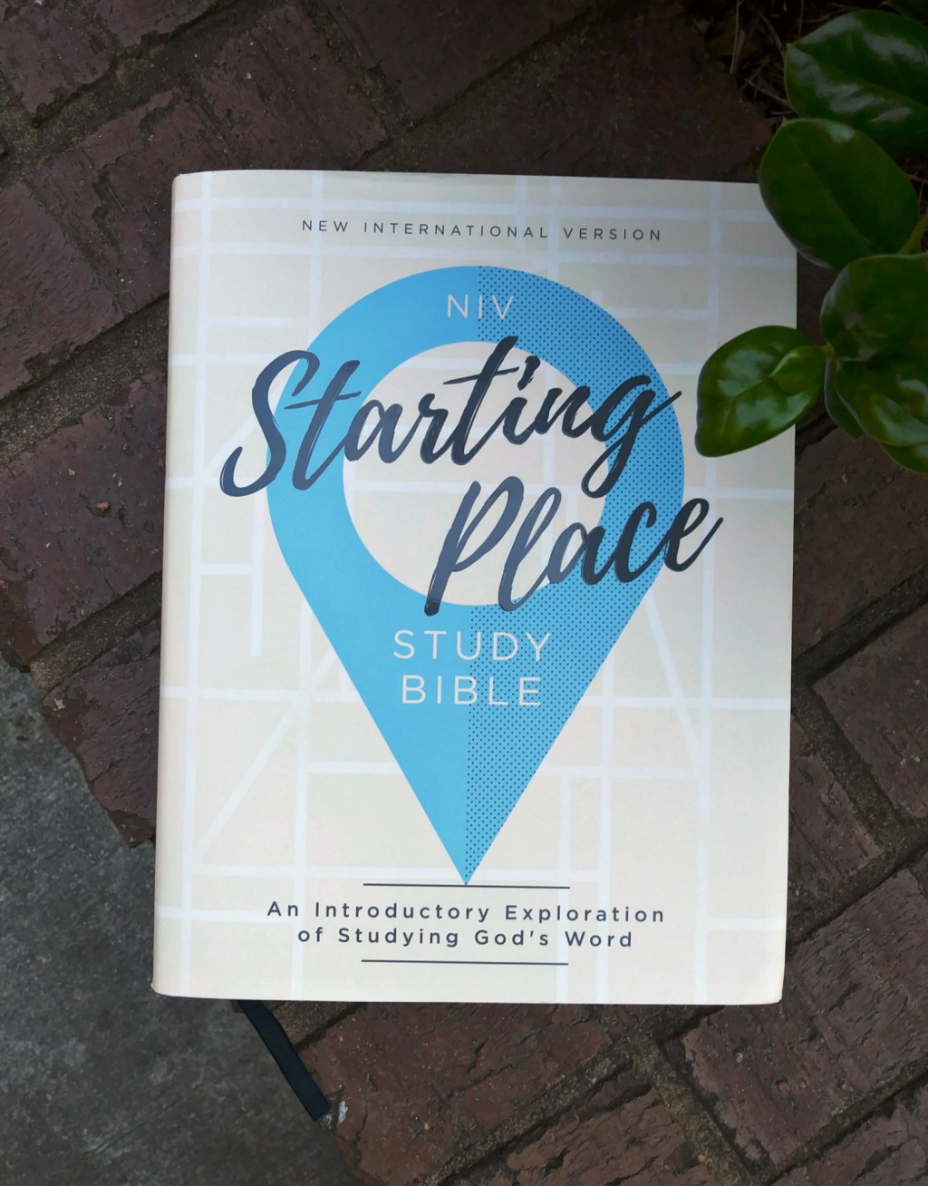 Bible Review: Starting Place Study Bible